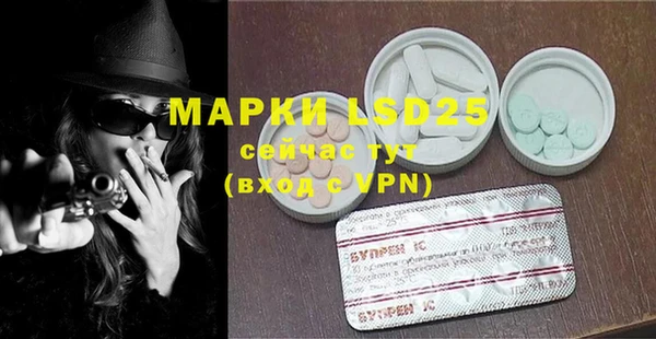 ГАЛЛЮЦИНОГЕННЫЕ ГРИБЫ Корсаков