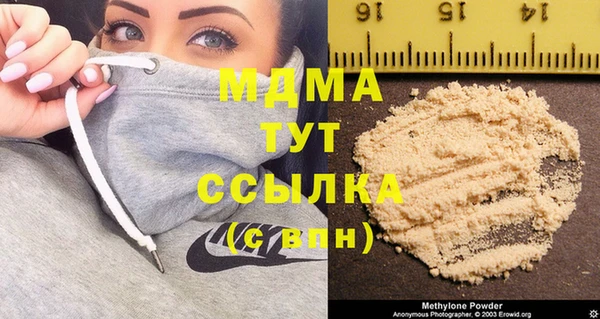 ГАЛЛЮЦИНОГЕННЫЕ ГРИБЫ Корсаков