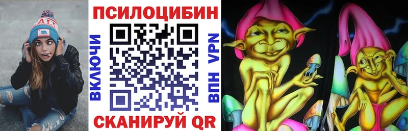 Купить где  Муравленко  Псилоцибиновые грибы мицелий 
